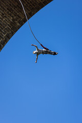 Saut à l'élastique