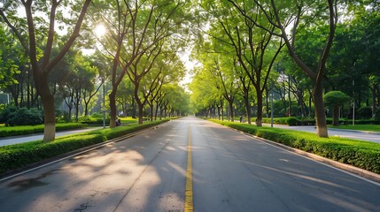 Asphalt road in the park with green trees