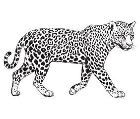 Silhouette of a leopard vector 