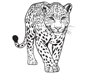 Silhouette of a leopard vector 