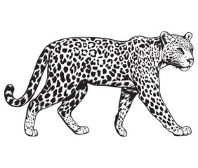 Silhouette of a leopard vector 