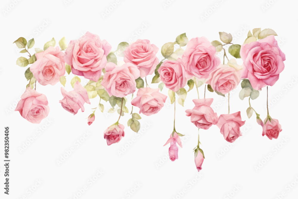 Poster Delicate pink watercolor roses