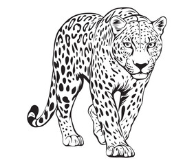 Silhouette of a leopard vector 