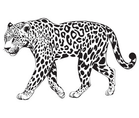 Silhouette of a leopard vector 