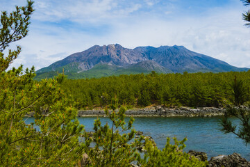 桜島、日本、鹿児島、海、山、火山、杉