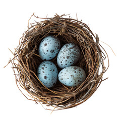 Obraz premium Close-up of a bird's nest with four speckled blue eggs. Detailed texture and natural colors, perfect for wildlife and spring themes.