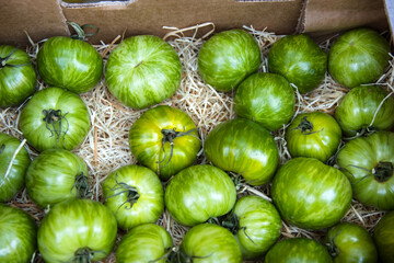 Closeup of  fresh vibrant green heirloom tomatoes in a carton cardboard box at local farmers market. Assorted organic heirloom beef tomatoes. Healthy eating, gardening, and farm-to-table concept. Top 