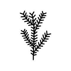 Fir branch in doodle style, simple.