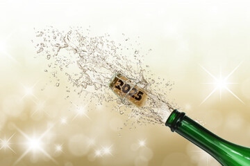 Silvester 584