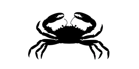 A crab is shown in black and white