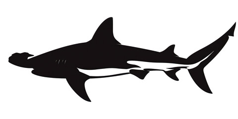 Fototapeta premium A black and white shark is swimming in the ocean