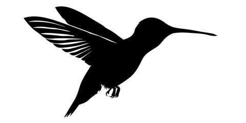 Obraz premium A black bird with a long beak flying in the air