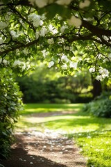 Tranquil branches covered in delicate petals, creating a peaceful, seasonal garden scene