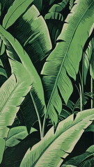 Lush tropical banana leaves illustration