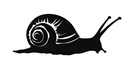 A black and white drawing of a snail