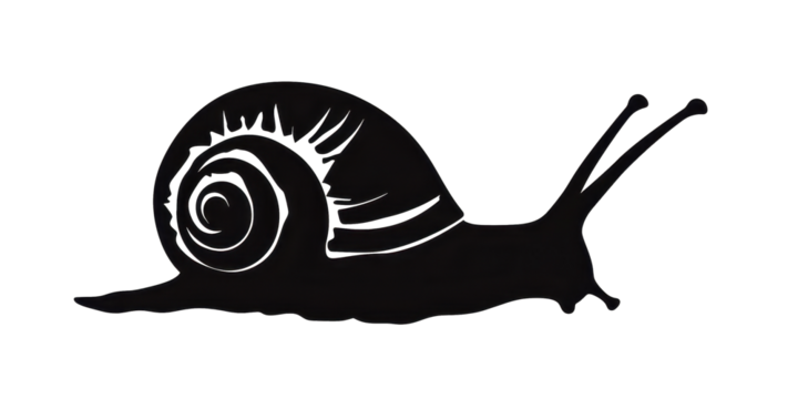 A black and white drawing of a snail