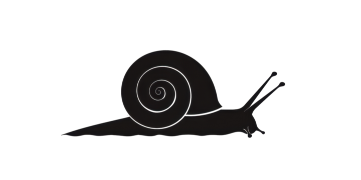 A black and white drawing of a snail