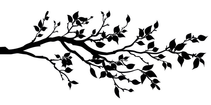 A tree branch with leaves is shown in black and white