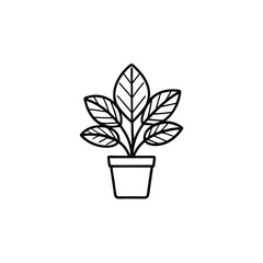 A line drawing of a potted rubber plant with glossy, broad leaves.