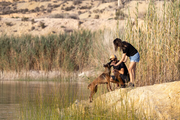 Couple playing with a dog in a lake.