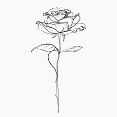 Elegant single line rose drawing