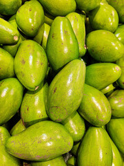 Pile of fresh Butter Avocados from Indonesia local farms, ready to be marketed. Butter Avocado or Alpukat Mentega is one type of avocado fruit that originates from the American continent.