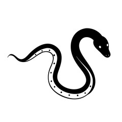 Fototapeta premium Vivid illustration of a black and white snake 