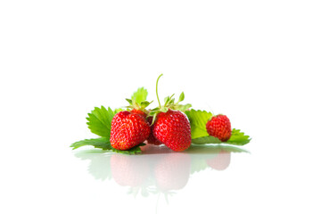 red ripe strawberry spring on a white background