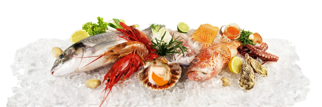 Fisch und Meeresfr&uuml;chte auf Eis mit Gem&uuml;se, Kaviar, Muscheln - PNG Hintergrund