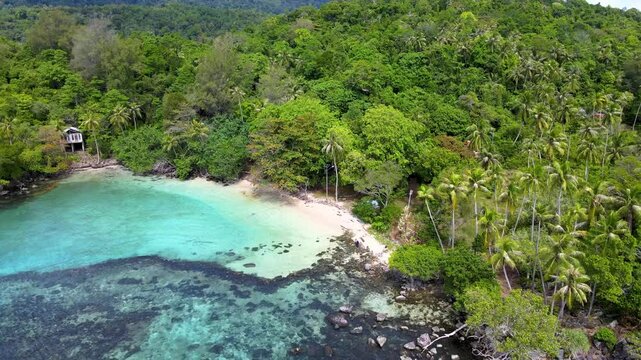 Emerald Green Sea Hugging the Shores of a Tropical Island
