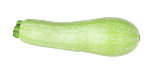 One fresh ripe zucchini isolated on white