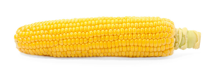 One fresh ripe corncob isolated on white
