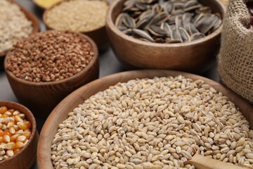 Different types of cereals and seeds on grey table, closeup