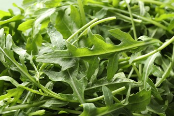 Fototapeta premium Many fresh arugula leaves with water drops as background, closeup