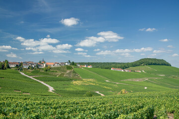 idyllic Wine Village of Cramant,Champagne region,Grand Est,France