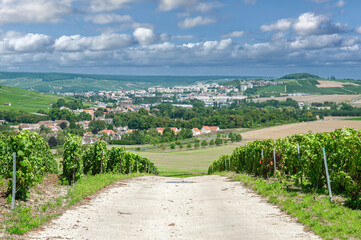 view to Epernay,Champagne region,Grand Est,France