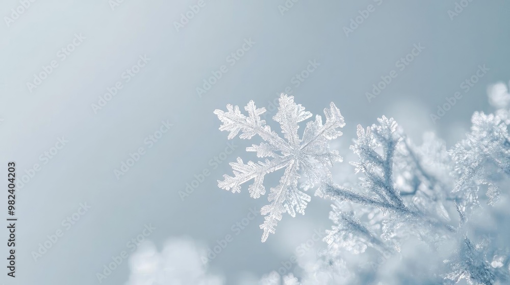 Poster a delicate snowflake rests on a frosty surface, showcasing intricate patterns and the beauty of wint