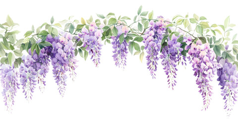 PNG  Soft color asmall bush wisterias illustration watercolor blossoms.