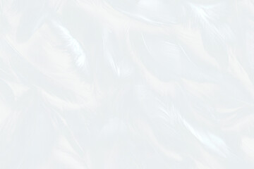 Obraz premium White feathers texture wedding female person.