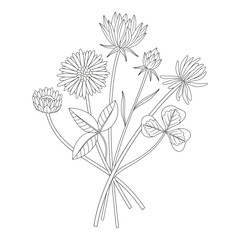 Wildflower bouquet with clover, different meadow flowers, and blooming wild plants. Line art, minimal style, contour. Botanical hand-drawn elements for design projects. Vector illustration