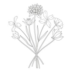 Wildflower bouquet with sowbread, different meadow flowers, and blooming wild plants. Line art, minimal style, contour. Botanical hand-drawn elements for coloring, design projects. Vector illustration