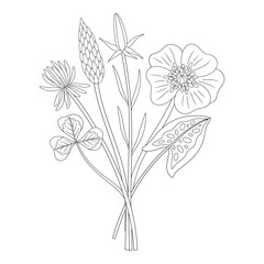 Wildflower bouquet with anemone, clover, different meadow flowers, and blooming wild plants. Line art, minimal style, contour. Botanical hand-drawn elements for design projects. Vector illustration