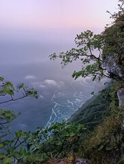 shaat view on the sea in Sultanate of oman with twigs tree by the mountain