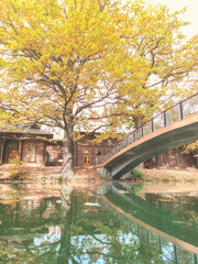 A small bridge in the park

