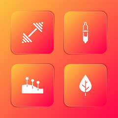 Set Dumbbell, Pipette, Acupuncture therapy and Leaf icon. Vector