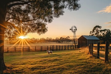 A beautiful sunset over an Australian farm with a windmill and sheep