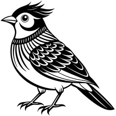 Obraz premium A bird silhouette vector with white background .