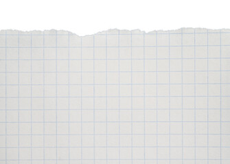 Classic Exercise book paper with torn edges, checkered notebook isolated on a transparent...