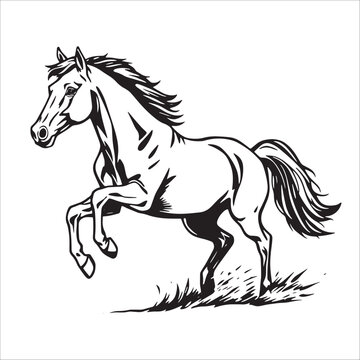 recommend clip art: Horse running on the grass, black and white vector illustration.