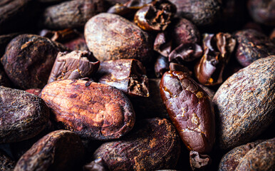 Cocoa beans background, close-up of cocoa bean,  dried broken cocoa beans